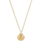 Beachcomber shell necklace, gold