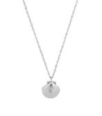Beachcomber necklace shell, steel