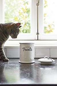 KITTIE TREATS STORAGE JAR