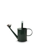 Iron watering can, green