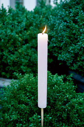 GARDEN TORCH PINK L
