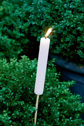 GARDEN TORCH PINK S