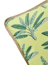 Cushion palm trees 45x45, lime