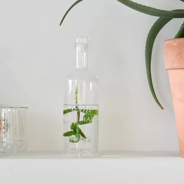 Eau de la Maison bottle