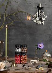 Regular winter frozen mint