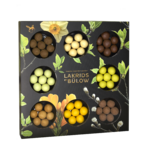 Selection box spring 2026