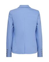 Blake night blazer, hydrangea