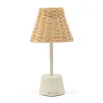 Luminee rattan led USB table lamp