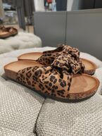 Katarina, leopard