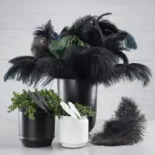 Ostrich Feather 60cm, Black