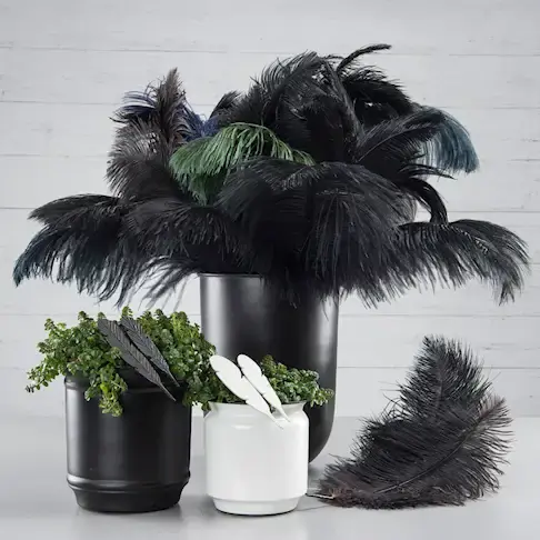 Ostrich Feather 60cm, Black