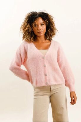 Cardigan Kid Mohair, Rose