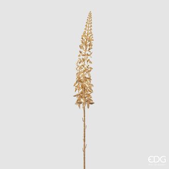 Eremurus brach, gold