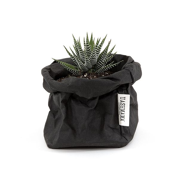 Uashmama paperipussi M, musta