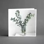 Grande eucalyptus