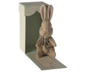 My first bunny, brown