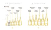 The little book of champagne