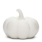 Olivier pumpkin S