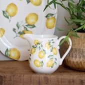 Maison Citron Jug S