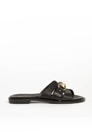 Holly, black