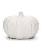Olivier pumpkin M
