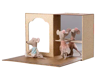 Ballet mice in dance studio, little sister and brother
