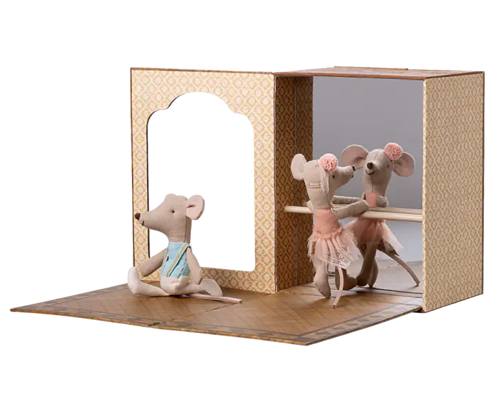 Ballet mice in dance studio, little sister and brother