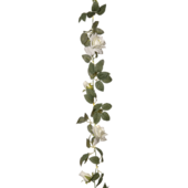 Roza valosarja 200cm, valkoinen/vihreä