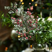 Holly berry & pine branch