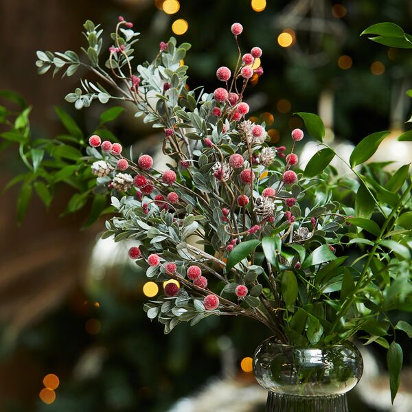 Holly berry & pine branch