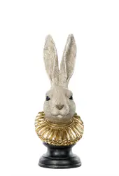 Rabbit head