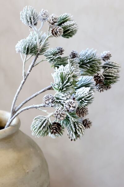 Fleur branch with cedar spruce & pine