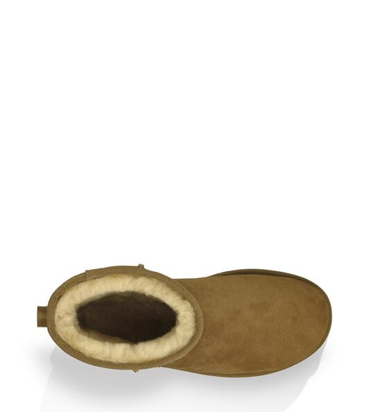 Men's classic mini, chestnut