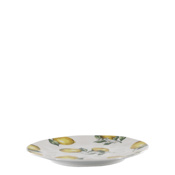 Maison Citron Lunch Plate