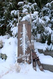 Vintage sledge, nature