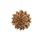 B a star S, brown