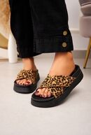 Ingrid, leopard