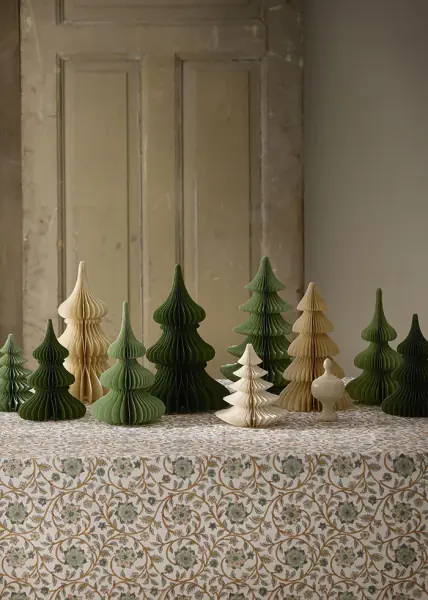 Honeycomb tree fraser 26cm, shell