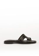 Mabel, black