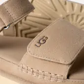 Goldenstar, sand
