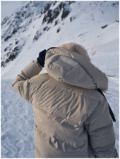 Jilly hope down jacket, feather gray