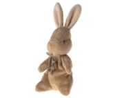 My first bunny, brown