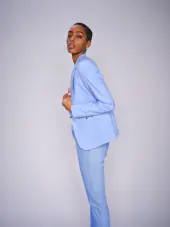 Blake night blazer, hydrangea