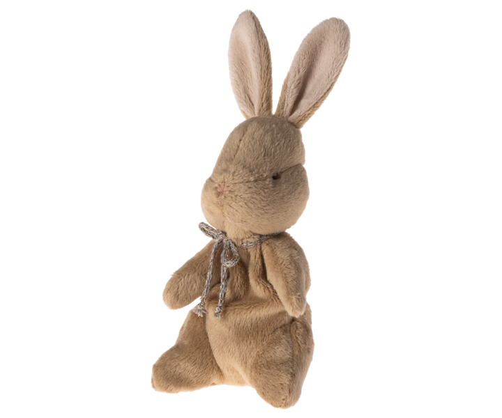 My first bunny, brown