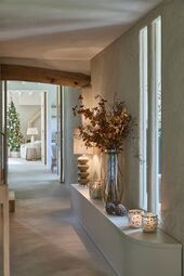 Moonshine hurricane M