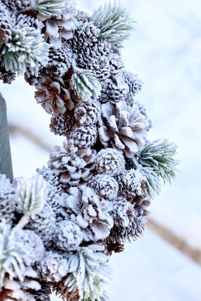 Fleur wreath with cones & snow 33cm, nature