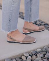 Pons vecchio, siegle