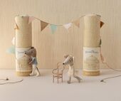 Ballet dancer mouse, big brother