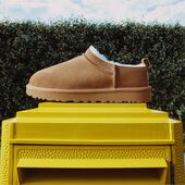 Classic micro, chestnut