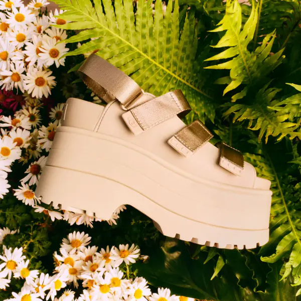 Goldenrise, mustard seed